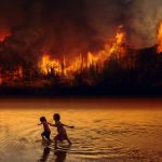 fire, forest fire, children-4429478.jpg