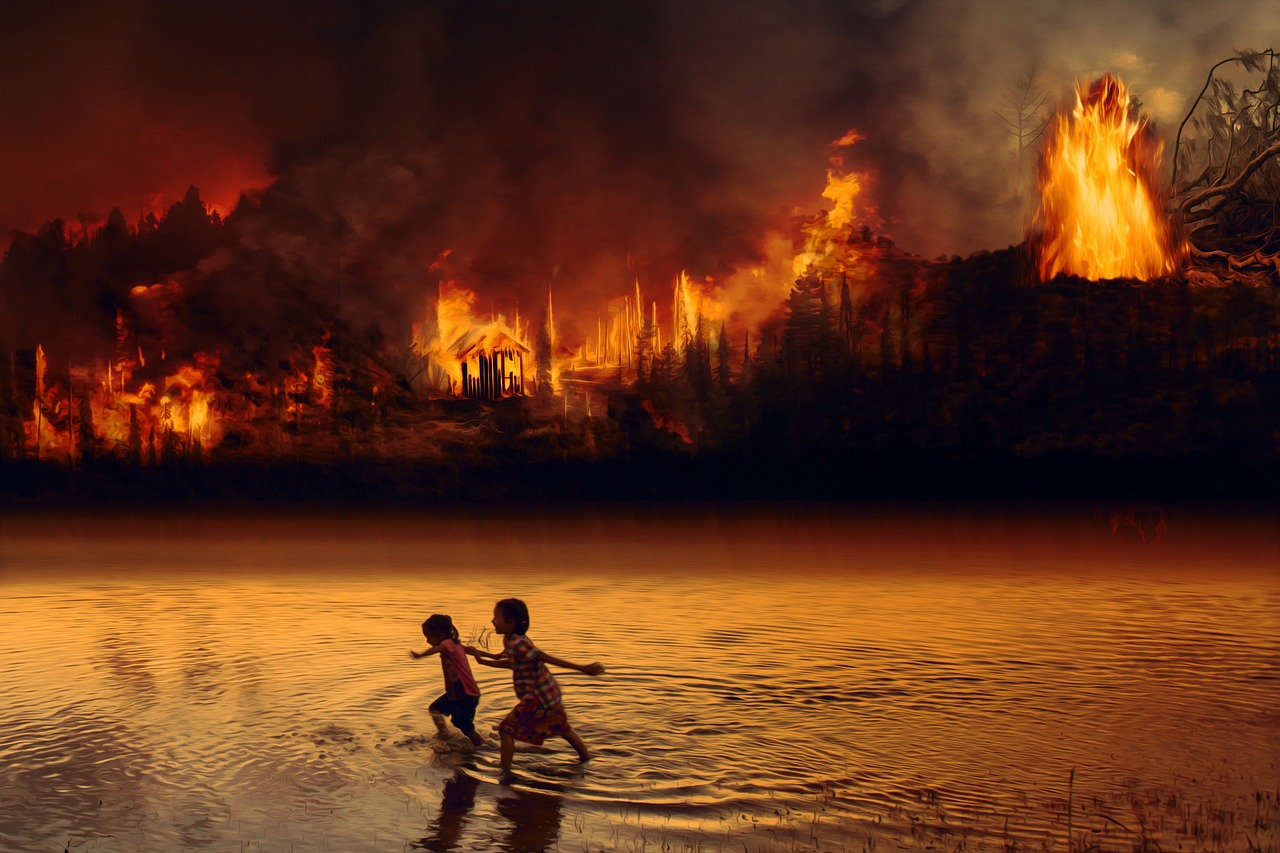 fire, forest fire, children-4429478.jpg
